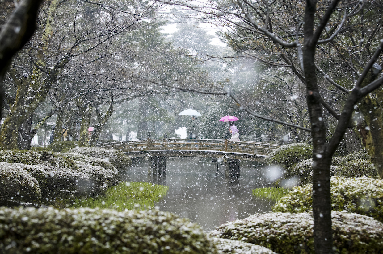 Photo Tip of the Week: How to&ensp;Shoot Great Garden Images